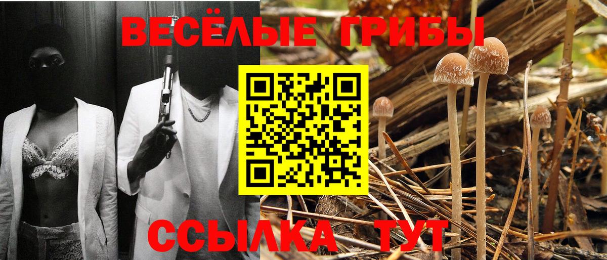 Галлюциногенные грибы Magic Shrooms  Вход с VPN  как найти   Долгопрудный 